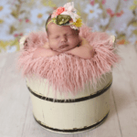 Newborn in a cute basket from Enlightened Photography